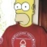 Homer is a Red